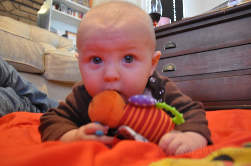 William's Nineteenth Week 28.jpg